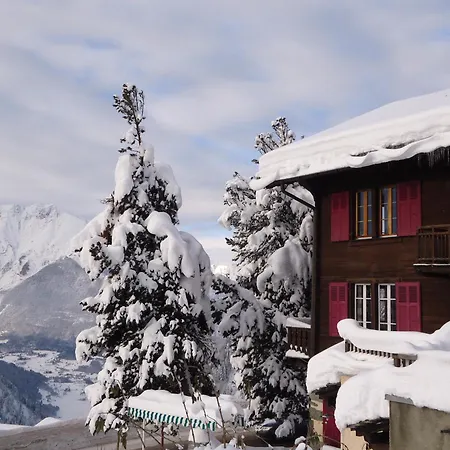 酒店 旅行者酒店